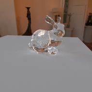 bunny.png
